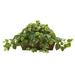 Nearly Natural Pothos with Ledge Basket Green 34x18x15