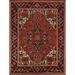 Orange Geometric Heriz Serapi Indian Area Rug Handmade Wool Carpet - 7'11"x 9'10"