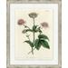 Wendover Art Group Large Antique Blush Floral III - Picture Frame Painting on Paper in Green/Pink/White | 41.5 H x 33.5 W x 0.88 D in | Wayfair