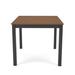Birch Lane™ Townsend Dining Table Plastic/Metal in Brown | 29 H x 33 W x 33 D in | Outdoor Dining | Wayfair C9B04A56B97445FBBFD9323014F7E293