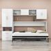 Hokku Designs Crinole Murphy Storage Bed Wood in Brown/White | 70 H x 43 W x 102 D in | Wayfair 3E55C99C37E44A889A5F62D34D612F5F