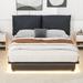 Latitude Run® Platform Bed w/ Sensor Light & Ergonomic Design Backrests Upholstered/Faux leather in Black | 41.6 H x 68 W x 84.8 D in | Wayfair