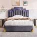 Brayden Studio® Breyen Platform Bed w/ LED Lights & 4 Drawers Wood & /Upholstered/Velvet in Gray | 44.9 H x 55 W x 76 D in | Wayfair