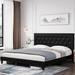 Winston Porter Parez Upholstered Platform Bed Upholstered in Gray/Black | Queen | Wayfair B1F67F4E0878420F8ABF91C66C4539B3