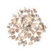 Home Accents Decor Seashells Crafts Beach Wedding Decorations for Ceremony Decorate Aquarium 50 Pcs