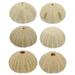 6 Pcs Plant Lights Lantern Sea Urchin Shells Decoration Conch Household