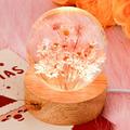 Qenwkxz Dandelion Crystal Ball Night Light with Wooden Base USB Powered Night Lamp Fancy Crystal LED Night Light Portable Night Lamp Crystal Ball Dandelion in Glass Night Lamp for Home