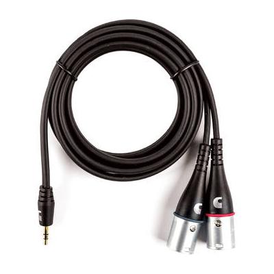 D'Addario PW-MPXLR-06 Planet Waves Custom Series 3.5mm to Dual XLR Y-Cable (6') PW-MPXLR-06