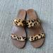 J. Crew Shoes | J.Crew Sandals. Size 9. Leopard Print. | Color: Black/Tan | Size: 9