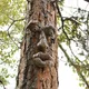Old Man Tree Hugger Garden Peeker Yard Art Outdoor Tree Funny Old Man Face Sculpture Lunatic