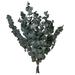 Vickerman 0.25 Plant | 0.25 H x 3 W x 18 D in | Wayfair H1ESP150