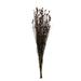 Vickerman Bell Grass Arrangement Preserved | 0.25 H x 3 W x 36 D in | Wayfair H1BFL800