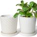 BEMAY Ceramic Plant Pots 5.5 Inch Planters for Indoor/Outdoor Plants Garden Planters with Drainage Hole and Saucer Set of 2 Flower Pots for Succulent and Cactus White
