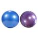 2 Pcs Pilates Equipment Fitness Balls Yoga Balance Birthing Exercise with Pump Thicken