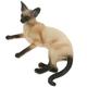 Cat Model Cute Statue Plastic Anniversary Presents Office Desk Decor Artificial Figure Ornament Child Desktop The