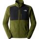 The North Face Herren Homesafe Fleece Jacke (Größe M, oliv)