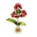 Jay Strongwater Renee Tulip Sculpture, Crystal in Green/Red | 12.75 H x 8 W x 6 D in | Wayfair SDH1902-256