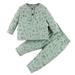 Toddler Outfits For Girls Boys Fall Long Sleeve Cartoon Prints Sweatshirt Pullover Tops Pants Neutral Baby Outfits Sets Green 2 Years-3 Years