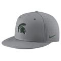 Men's Nike Gray Michigan State Spartans USA Side Patch True AeroBill Performance Fitted Hat