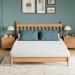 King Firm 6" Foam Mattress - Alwyn Home Beauvallon Medium-Firm | 79 H x 75 W 6 D in Wayfair FFE7D73DBC6B4EF1A5EC9013CE976AB3