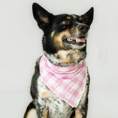 Pink Gingham Pet Bandana - XS/S