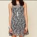 Free People Dresses | Free People Miles Of Lace Sheer Lace Mini Dress Y2k Boho Casual Festival | Color: Black/Gray | Size: S