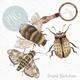 Set of 4 PNGs for Sublimation Insect Clipart Cute Bugs PNG Set Bug Hunt Clipart Beetle PNG Moth Clipart bumblebee png Magnifying Glass