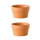 2 Pcs Plant Terracotta Cactus Pot Garden Pots Terracotta Succulent Pot Terracotta Bonsai Flowerpot Succulent Terracotta Flower Pot Decorate Earthenware