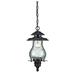 HomeRoots 398024 16.5 x 8 x 8 in. Blue Ridge 1-Light Architectural Bronze Hanging Light