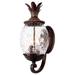 BULYAXIA Collection 3-Light Wall Mount Outdoor Light Fixture Black Coral