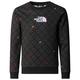 The North Face - Boy's Drew Pealight Crew Print - Pullover Gr M schwarz