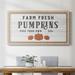 The Holiday Aisle® Farm Fresh Pumpkins Premium Framed Canvas- Ready To Hang Canvas, Solid Wood in Gray/Black | 25" H x 45" W x 1.25" D | Wayfair