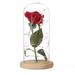 Red Rose Night Light Never Withered Gift Desk Table Lamps Wedding DÃ©cor Bluebonnet Flowers Artificial