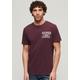 T-Shirt SUPERDRY "ATHLETIC COLLEGE GRAPHIC TEE" Gr. XL, lila (fig purple slub) Herren Shirts T-Shirts