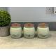 Sage green Tea Coffee Sugar Canisters sets Kitchen Storage jars