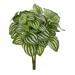 14â€� Watermelon Peperomia Artificial Plant (Set of 6) (Real Touch)