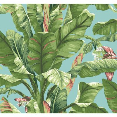 York Wallcoverings Banana Leaf Aqua & White Wallpaper