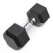 40 Lb Rubber Hex Dumbbell, UNIT