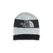 The North Face Beanie Hat: Gray Color Block Accessories