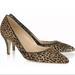 J. Crew Shoes | - J Crew Collection Calf Hair Kitten Heels Genuine Leather Made In Italy | Color: Black/Brown | Size: 7