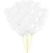 The Holiday Aisle® PMU Valentine’s Day Heart Shaped Balloons 15 Inch Partytex Premium Diamond Clear Pkg/25 in White | 6 H x 5 W x 3 D in | Wayfair