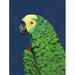 Winston Porter Parrot Head Navy by Pamela Munger Print Canvas in Blue/Green | 16 H x 12 W x 1.25 D in | Wayfair 2C91A0946FB44F59B928819CD7B1120C