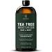 INFINA ESSENTIALS Tea Tree CM31 Hair and Body Moisturizer - Hydrating with Peptides Coconut & Avocado Oils -Daily Body Lotion & Tea Tree Leave In Hair Conditioner for Men & Women - 8 fl oz