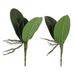 Potted Decoration 2 Pcs Decorative Phalaenopsis Leaves Home Household Imitation Pu