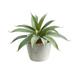 HomeStock Coastal Craftsman Elegance 9In. Aloe Succulent Artificial Plant
