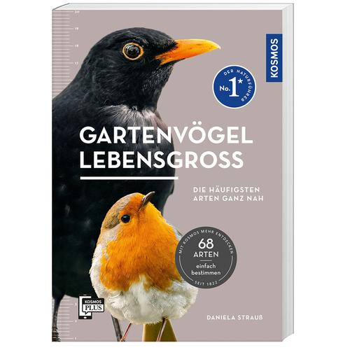 Gartenvögel Lebensgroß - Daniela Strauß, Kartoniert (TB)