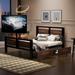 Twin Size Metal Platform Bed with 2 Drawers & Rotatable TV Stand,Black