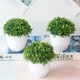 Plantes artificielles en plastique bonsaï petit pot d'arbre fausse plante en pot fleur maison