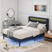 Ivy Bronx Kristalee Metal Platform Bed Upholstered/Metal in Black/Gray | 45.28 H x 60.43 W x 85.43 D in | Wayfair 18947F33C5C4417B9DD306FB222FFCAE