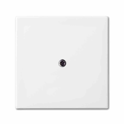 Busch-Jaeger BUSCH-BALANCE SI Zentralplatte, Blindabdeckung, alpinweiß, glänzend, Befestigung mit Schraube, ohne Beschriftungsfeld Image
